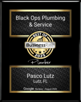 Best of Business Rate 2025, Plumber, Pasco Lutz FL