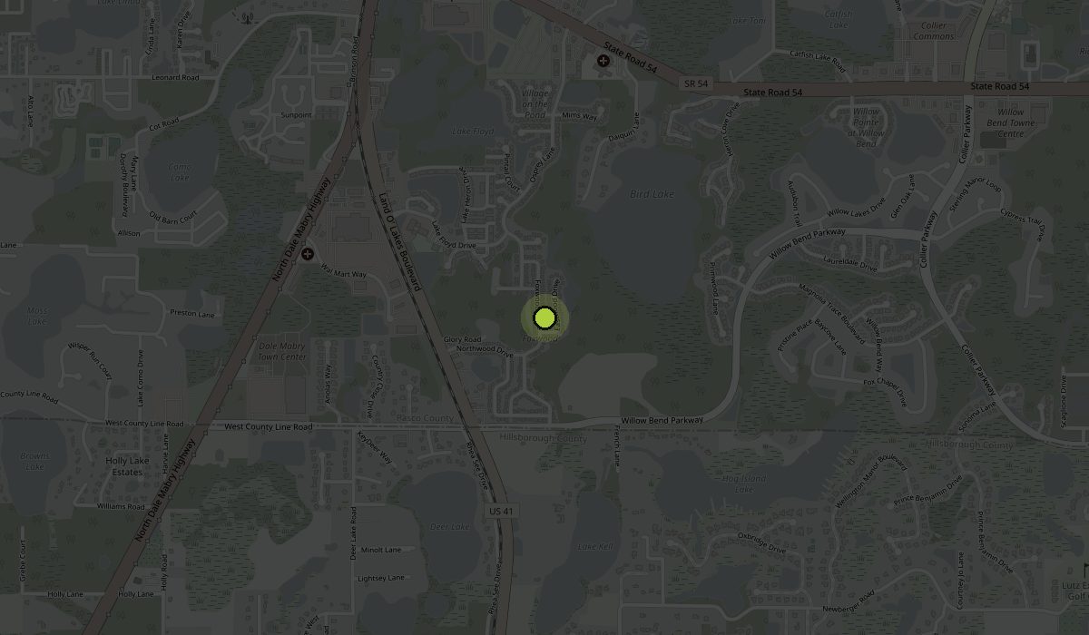 Map of Lutz, Florida with the Black Ops Plumbing shop on Foxwood Drive marked in green, between Land O' Lakes Boulevard and Collier Parkway